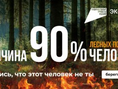 Сохранить лес от пожара - Национальные проекты России